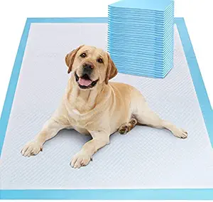 Pet Training Pee and Potty Pads with Quick Drying Surface and Absorbent Core/Suitable for Small/Large Breed Puppies/Pets-40 Count (60 X 90 cm) Pack of 4