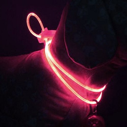 Light-Led-Glow-Flash-Puppy-Dog-Safety-Strap-Collar-Light-Emitting-Clip-Buckle-Adjustable-Round-Stylish