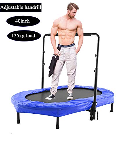 Bunao Portable & Foldable Fitness Workout Mini Rebounder Trampoline 40 Inch Max Load 300lbs with Adjustable Handrail for Indoor Garden Workout Cardio Exercise (Type5)
