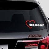 hagenbach deutschland Lieferumfang: Hochwertiger Aufkleber aus dem Titelbild von Pegatina Promotion, patentiere Verklebehilfe von Pegatina Promotion und eine gedruckte Montageanleitung