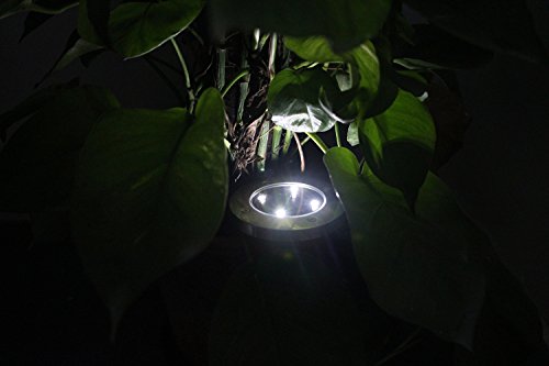 2 Stück Keine Verkabelung große Solarleuchte für Außenleuchte Wasserdicht 4 LED 40LM Pfad Garten Landschaft Spike Beleuchtung für Hof Auffahrt Rasen Weiß (12 cm breit) - 3