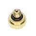 Produktbild Homyl Männlichen Sprühdüse Düse Sprinkler Sprühkopf Garten Bewässerungsystem - Gold, 0,5 mm (5 #)