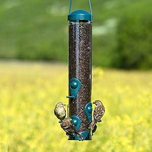 Perky-Pet 3261 Mangiatoia Sierra per Uccelli Selvatici e Passerotti