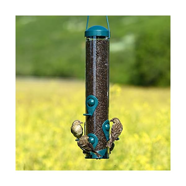 Perky-Pet 3261 Mangiatoia Sierra per Uccelli Selvatici e Passerotti