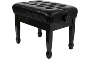 1TO1MUSIC Cadenza Adjustable Leatherette Cushioned Deluxe Piano Stool - Polished Ebony FS506PE