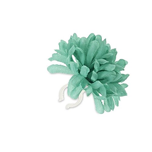 Basil Einzelne Lenker Blume Dahlia Flower Lenkerblume