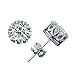925 Sterling Silver Zircon Earrings Stud Earring P04