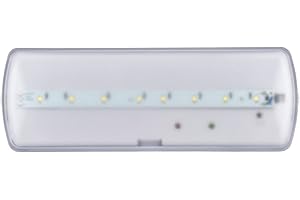 Popp® Luz de Emergencia LED de 4W 200 Lumenes con AUTOTEST. Permanente - No permanente. Luz Fría 6500K. Superficie. Resistente al Fuego (Superficie-200Lúmen, 1 UNIDAD)