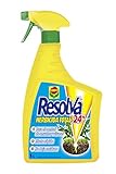 Cantidad 1000 ml Compo Total Resolva 24h Herbicida, 18x10x4 cm