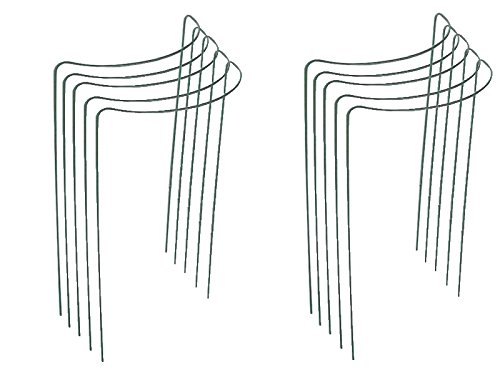10 Stück Staudenhalter Blumenhalter Pflanzenhalter halbrund 35 x 41 cm, grün
