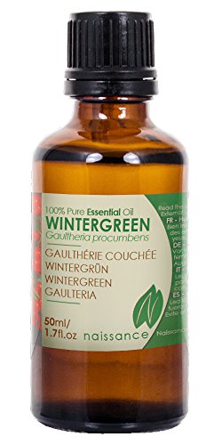 Wintergrün Öl - 100% naturreines ätherisches Öl - 50ml