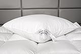 HS14 KOPFKISSEN 80x80 cm 3000 Gr. KISSEN 100%NATUR FEDERN 100% Gänsefedern HS14 KOPFKISSEN 80x80 cm 3000 Gr. KISSEN 100%NATUR FEDERN 100% Gänsefedern