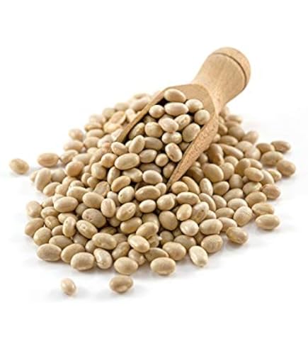 Organic Haricot Beans - Forest Whole Foods