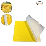 ❤ Buena viscosidad pegatinas: seguro y no tóxico, plástico de alta viscosidad impermeable, alta temperatura, no fluye el sol y la lluvia, duradero. Colgar cinta de alta efecto cebo gracias a su atractivo coloración, de Supermann, con efecto para atrapar moscas blancas, pulgones de hojas, mosquitos, mosquitos, moscas de minar, zikaden etc.