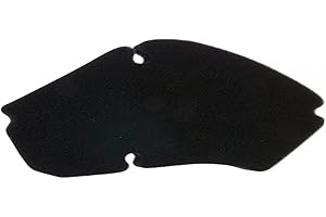 VICMA Filtro de Aire para Piaggio Zip, Fast Rider