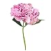 Produktbild SuperSU Künstliche Seide gefälschte Blumen Großes Bündel Pfingstrose Blumenstrauß Blumen-Bouquet Kunstblumen,Bridal Bouquet Blume Hochzeit Home Party Dekoration