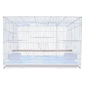 Petzlifeworld Powder Coated White 2 Feet Cage for All Small Birds and Love Birds