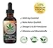 Produktbild Nature Hemp 30ml 10% ESSENZ