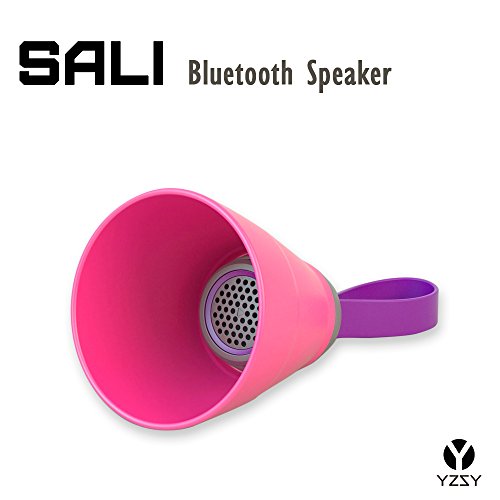 Preisvergleich Produktbild YZSY Lautsprecher Bluetooth Sali. Lautsprecher Tragbar, wassergeschützt und integriertes Mikrofon - Rosa.