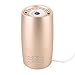 Produktbild LIQICAI Auto Luftreiniger Tragbar UV-Strahlen Negative Ionen Becher-Typ HEPA-Filter, Entfernen Sie Pollen, Zigarettenrauch, Formaldehyd, Bakterien, 70x130mm (Farbe : Gold)