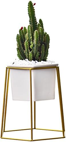 Succulent Planter Pot with Geometric Hexagon Metal Stand Holder - 4.5 Inch White Modern Decorative Ceramic Flower Plant Pot with Drainage - Home Office Desk Garden Mini Cactus Pot Indoor Decoration (Gold)