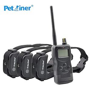 Petrainer FilAnimal Pet900B Original, 1000 Metros para 1, 2 o 3 Perros a la Vez 100% Sumergible – 3 Modos – Funcionamiento Sencillo. Función Memoria
