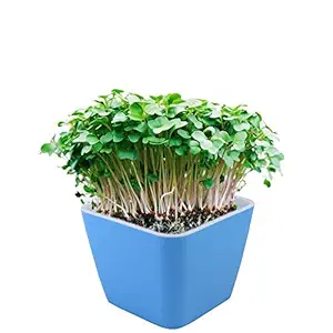 Montyybucks Self Watering Pots for Plants Indoor Outdoor Gardening Rectangular