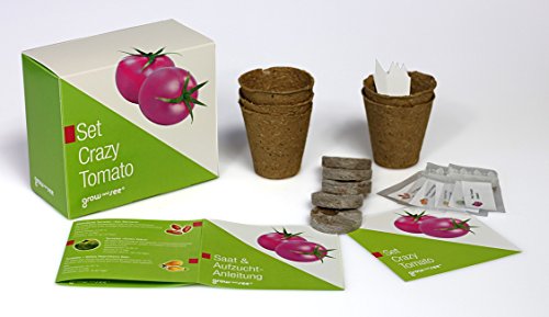 Set Crazy Tomato – die verrückt ausgefallene Geschenkidee: Selbst säen, züchten und ernten – bringt Farbe in die Küche! - 2