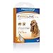 Produktbild francodex FIPROLINE Hunde mittel – 4 pipetten