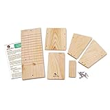  Kit educativo caja refugio para murciélagos