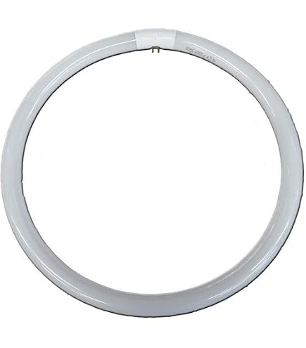 Osram Leuchtstoffröhre T9 Ringform 40W – Kaltweißes Tageslicht, G10q Sockel, Langlebig