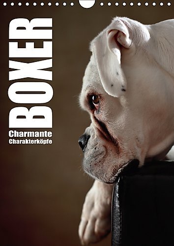 Boxer - Charmante Charakterköpfe (Wandkalender 2017 DIN A4 hoch): Boxer mit Charme ins rechte Licht gerückt (Monatskalender, 14 Seiten ) (CALVENDO Tiere)