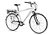 Produktbild CHRISSON 28 Zoll E-Bike Trekking und City Bike für Herren - E-Gent Weiss mit 7 Gang Shimano Nexus Nabenschaltung - Pedelec Herren mit Bafang Vorderradmotor 250W, 36V