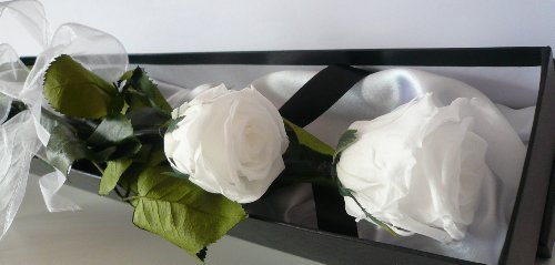 Rosen-te-amo Ego Fragrance - Rosas Blancas (Elegante Regalo