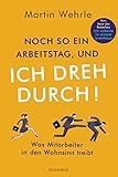 Noch so ein Arbeitstag, und ich dreh durch!: Was Mitarbeiter in den Wahnsinn treibt