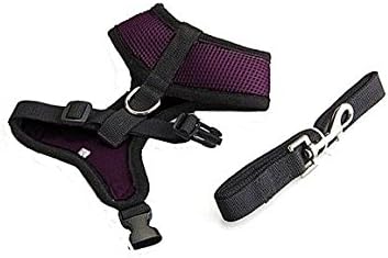 Photovie Mesh Printed Dog Cat Pet Vest Harness and Matching Leash Set in Pink for Dogs Cats
