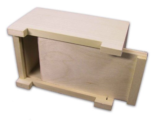 stabile Spardose, Sparbüchse aus Holz, Kiefer unbehandelt - 2