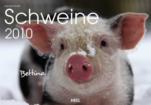 Download Schweine 2010 Download Schweine 2010