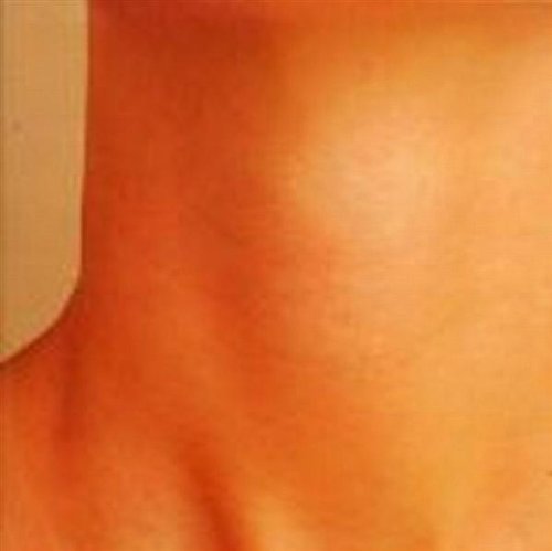 Preisvergleich Produktbild Pulseprogramming by Pulse Programming (2003-11-04)