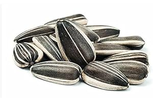 SEMENTI DOTTO SEMI DI GIRASOLE STRIATO MEDIO KG.1