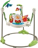 Fisher-Price Baby Gear – K7198 – Rainforest Jumperoo - 8