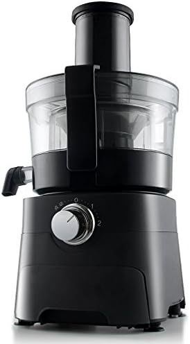 ZH Commercial Juicer Juice Machine