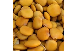 MONDOPIANTE Semi Pianta Lupino 500gr