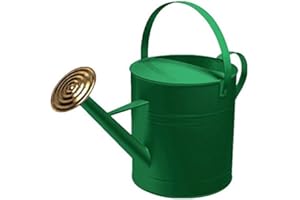 CrazyGadget® Garden Plant Flower Colour Galvanised Metal Steel Watering Can 9L 9 Litre / 2 Gallon with Brass Rose (Dark Green)