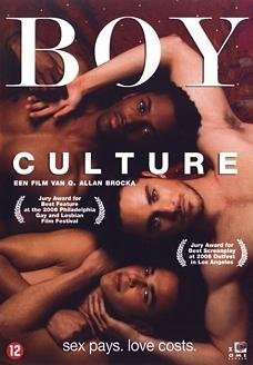 Preisvergleich Produktbild Boy Culture [DVD] by Derek Magyar