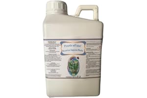 NOVAS ITALIA Sapone molle potassico per piante miscela liquida pronta all'uso nella conveniente tanichetta ricarica per spruzzini Pompa a pressione Pulisce da insetti melata e fumaggine Lucida nutre e protegge