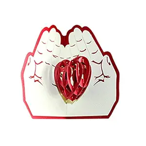 WorldCare 3D Pop Up Christmas Cards Holiday Thanksgiving Greeting Cards with Envelope Xmas Decoration Ornament Flower Pattern Cards New Year Holiday Festivals Birthday Gift-CS-A-357082