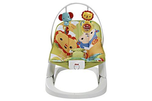 Fisher-Price Newborn to Toddler Rocker