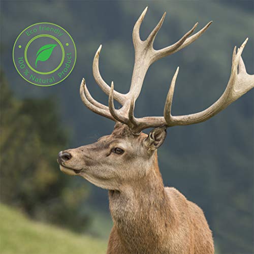 100-Naturel-Bois-de-Cerf-pour-Chien-Corne-Jouet-Os-a-Mcher