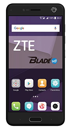 Preisvergleich Produktbild BLADE V8 GREY